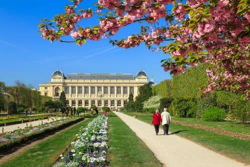 Jardín de plantas de París 